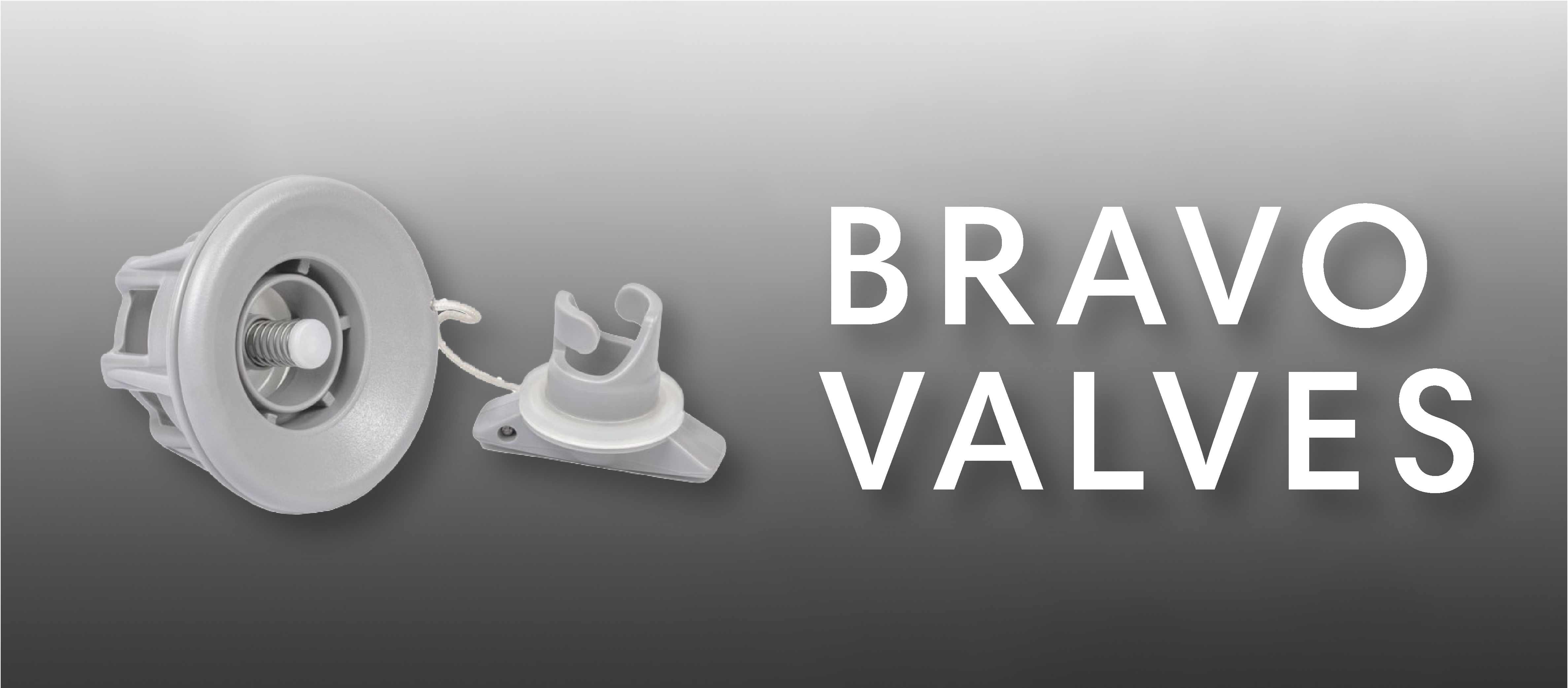 BRAVO VALVES.png